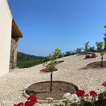 Apartment Il Vistamare